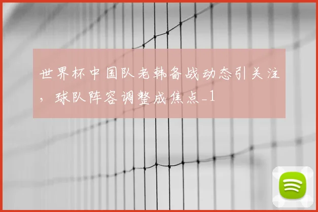 世界杯中国队老韩备战动态引关注,球队阵容调整成焦点_1